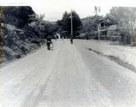 4763-2.jpg