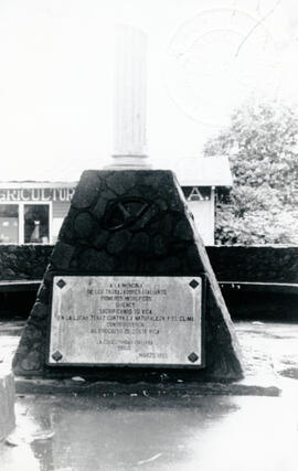 4614-2.jpg