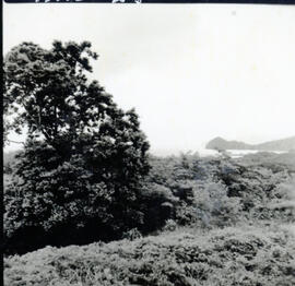 4128-24.jpg