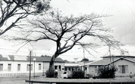6283-2.jpg