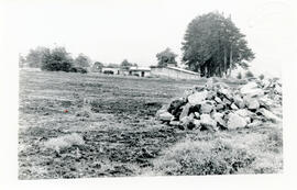 4689-4.jpg