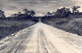 Fotografía de la carretera San Miguel-Aguas Zarcas. Alajuela