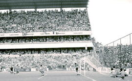 6274-23.jpg