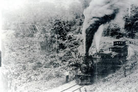 Fotografía de una locomotora pasando por la curva de Bonilla milla 51 1/2. Se observa un puente f...