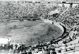 Fotografía del redondel de Toros, con público en las graderías durante los festejos populares San...