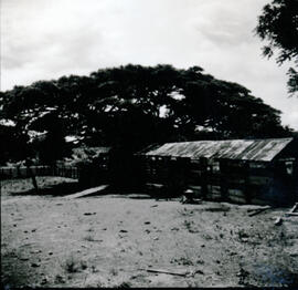 4126-16.jpg