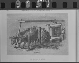 Fotografía de un trapiche de azúcar. Centroamérica