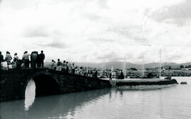 4989-16.jpg