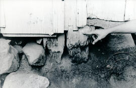 6327-2.jpg