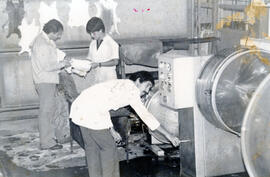 4452-2.jpg