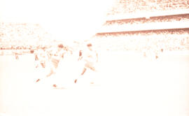 6274-15.jpg