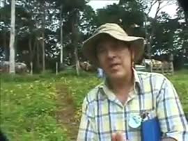 Video de los agricultores frijoleros de Upala mejoran sus condiciones mediante siembra y comercia...