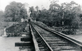 4851-2.jpg