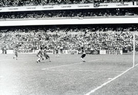 6274-3.jpg