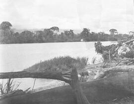 Negativo del Río Tigre en Santo Domingo. Golfo Dulce. Este negativo forma parte del documento 167...