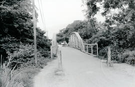 4939-2.jpg