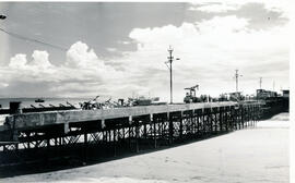 276-6.jpg