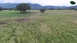 Video con vistas aéreas del cantón de Hojancha, Guanacaste