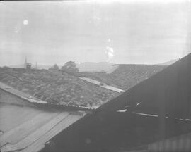 009780.jpg