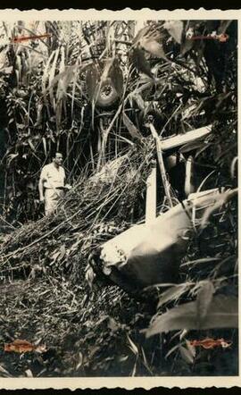 Fotografía accidente ocurrido a la aeronave TI-291C en las Delicias de Upala