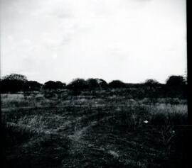 4118-5.jpg