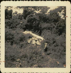 Fotografía accidente ocurrido a la aeronave TI-330-C en Carrillos de Guápiles