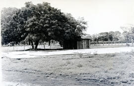 5583-1.jpg