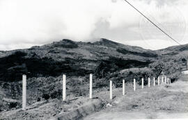 Fotografía panorámica de terrenos cultivados de café en San Pablo de León Cortés. San José