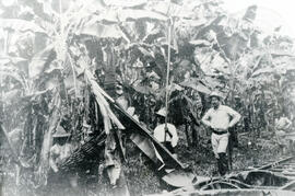 Fotografía de la finca bananera La Luisa, propiedad de la United Fruit Company en Limón. En la gr...