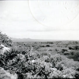 4119-10.jpg