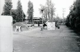 6286-14.jpg