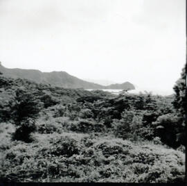4128-23.jpg