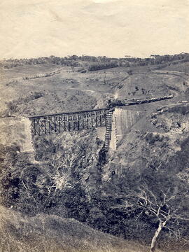 Fotografía del puente ferroviario sobre el río Fierro, Tres Ríos. Cartago