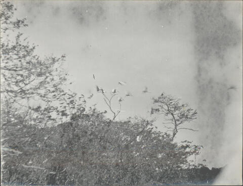 Open original Document numérique