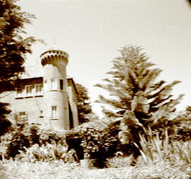 4986-5.jpg