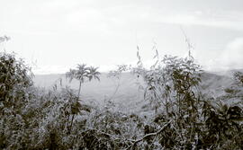 Fotografías de vistas panorámicas del Cerro de la Muerte y las estribaciones de la Cordillera de ...