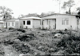 4407-6.jpg