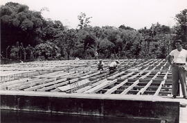 Fotografía panorámica de la cañería de Limón