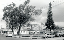 Fotografías con imágenes del parque situado 200 metros al norte de la Plaza González Víquez. Se o...