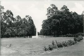 006343-17