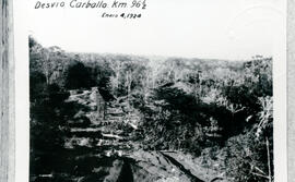 6117-5.jpg