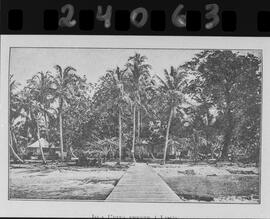 Contacto con imágen imagen de la Isla Uvita, frente a la costa Atlántica, Limón