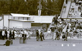 4971-4.jpg