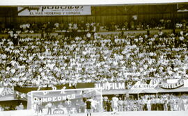 6277-31.jpg