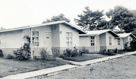 4393-5.jpg