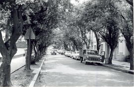 Fotografía de la avenida de Las Damas. Avenida 3, calles 7 y 15. San José
