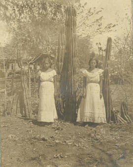 Fotografías álbum de campesinos. Se observan mujeres posando junto a unos cactus y lavando ropa y...