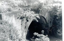 Fotografías del puente de las Damas sobre el río Jesús María, en Alajuela. Alajuela