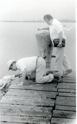 274-10.jpg