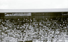 6277-14.jpg